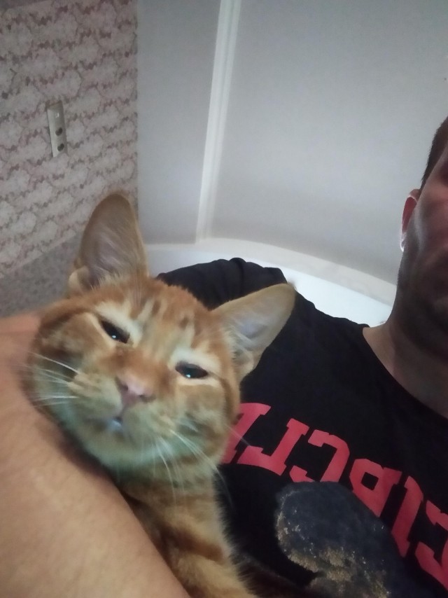 Друган