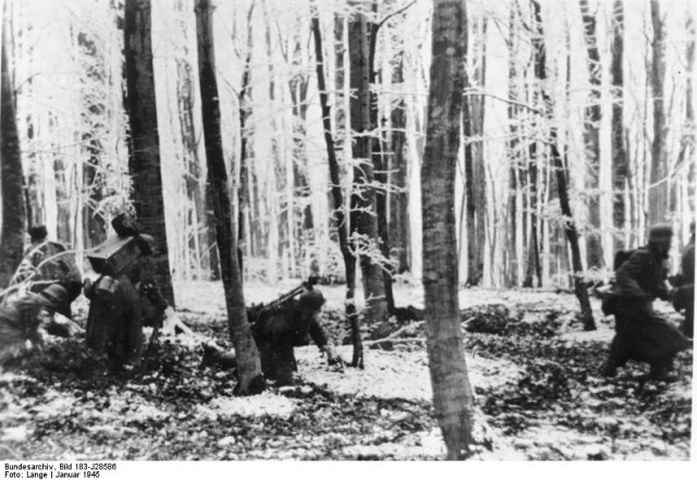 1945 год в 84 фотографиях