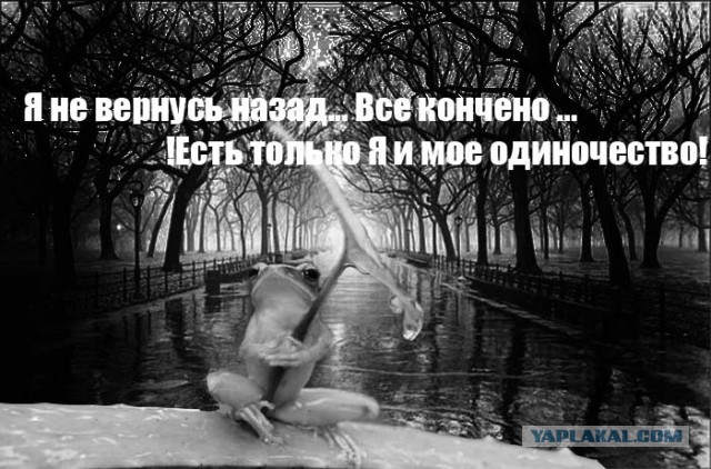 Под зонтом!