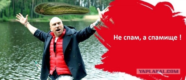 Спам