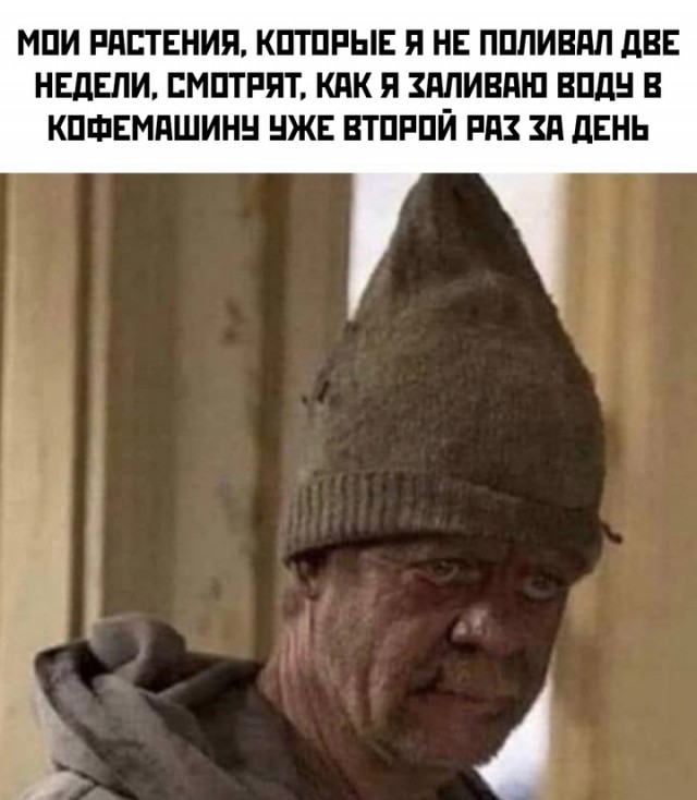 Весёлый полтишок 27.08.24