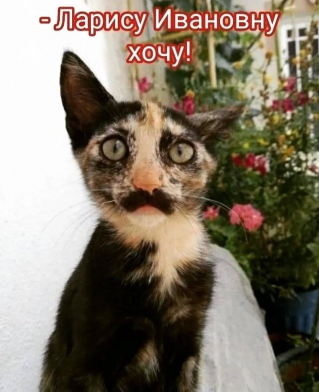 Завалялось тут случайно немного забавных картинок