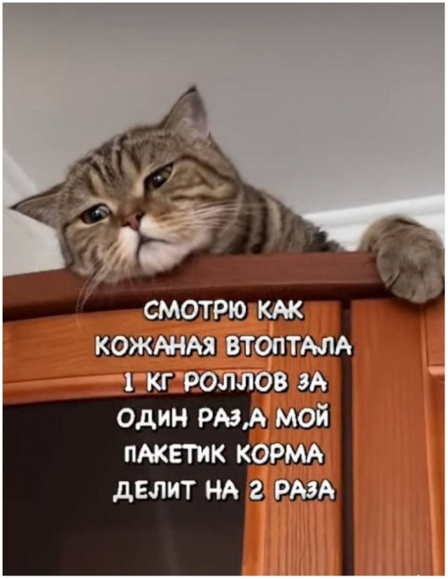 30 картинок из маршрутки №17