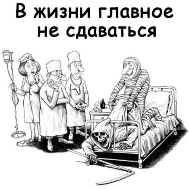Так себе картинки 12.02.25