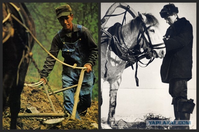 Письмо из США.