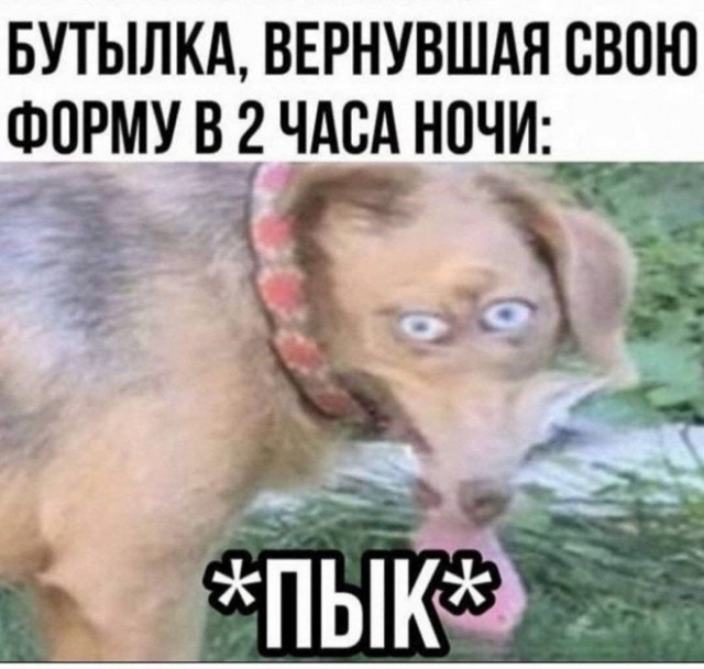 Веселые картинки в среду (практически в пятницу) (07.05)