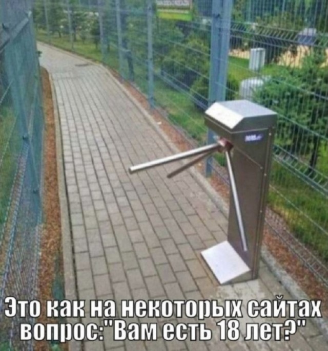 Так себе картинки 11.07.25