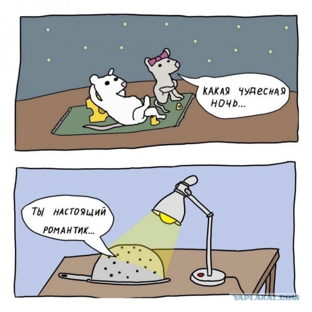 Картинки всякие