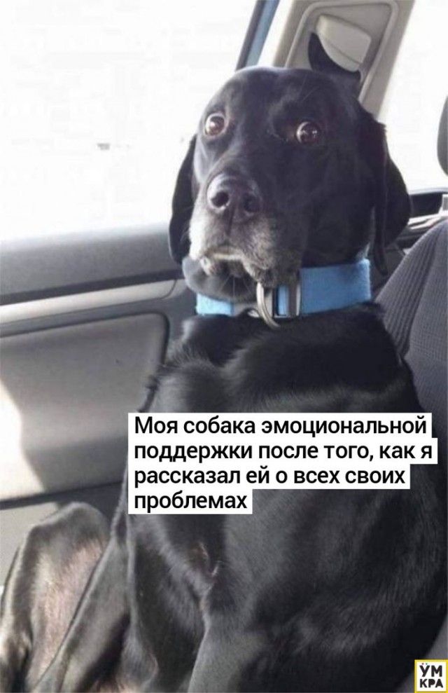 Сотни тысяч пользователей ChatGPT еженедельно демонстрируют признаки психических расстройств