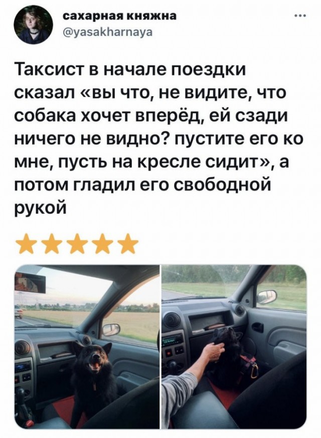 Веселые картинки в маленькую пятницу (03.12)