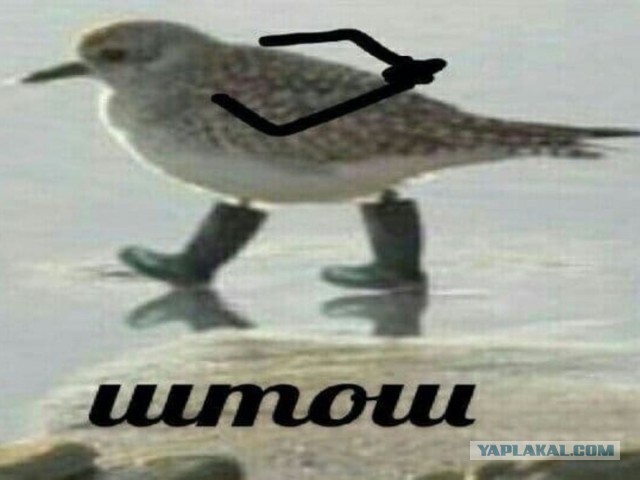 Дед