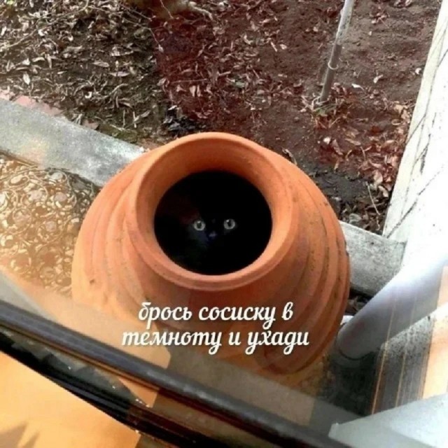 Так себе картинки 30.06.26