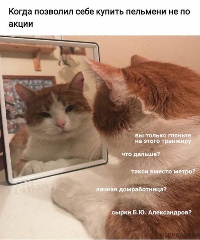 Я стал рабом!