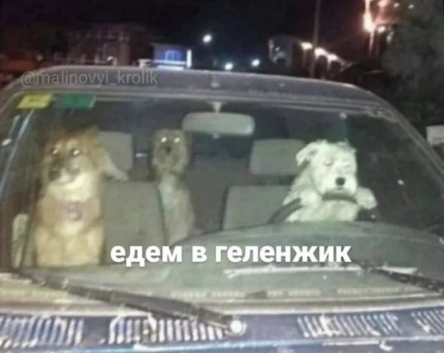 Мемчики