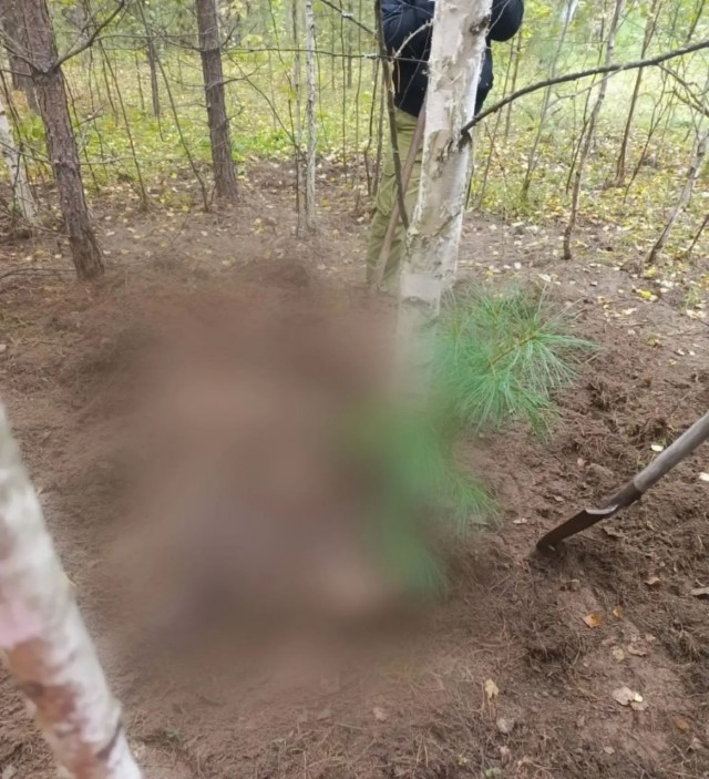 Медведь насмерть загрыз двух женщин в Красноярском крае