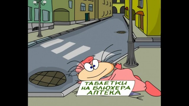 Уличным котам построили собственный особняк в Петербурге