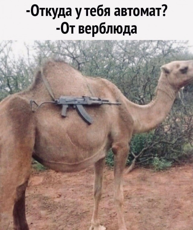 Летящий из Дубая в Тель-Авив пассажирский самолет подал сигнал о захвате