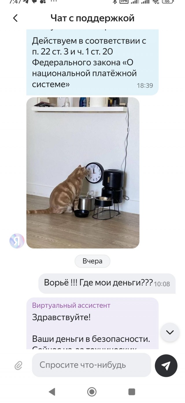Поддержка Яндекс Пэй.