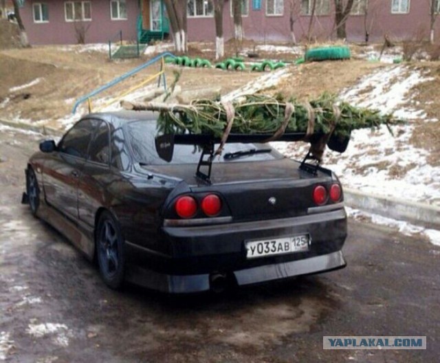 Приколы и маразмы 2