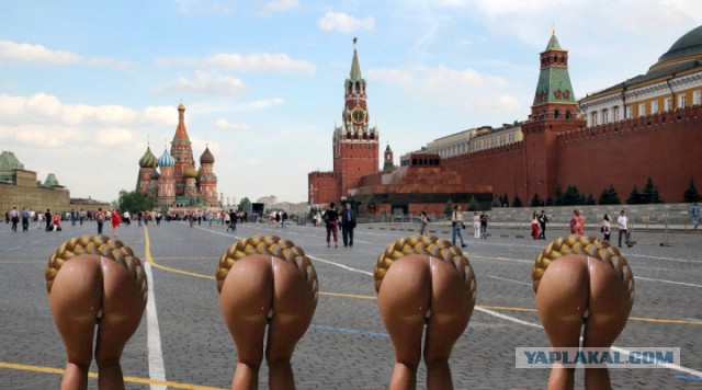 Москвичи, кто будет Юлю Тимошенку встречать?