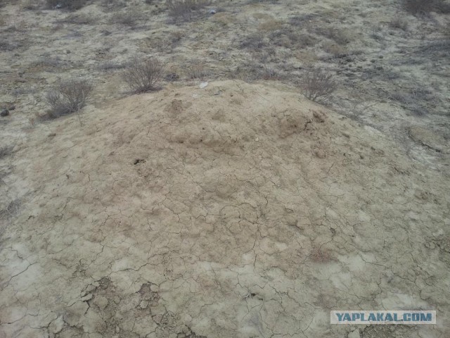 Путешествие в Восточный Аккар