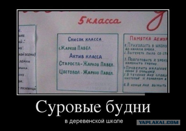 С миру по нитке. Демотиваторов чуть