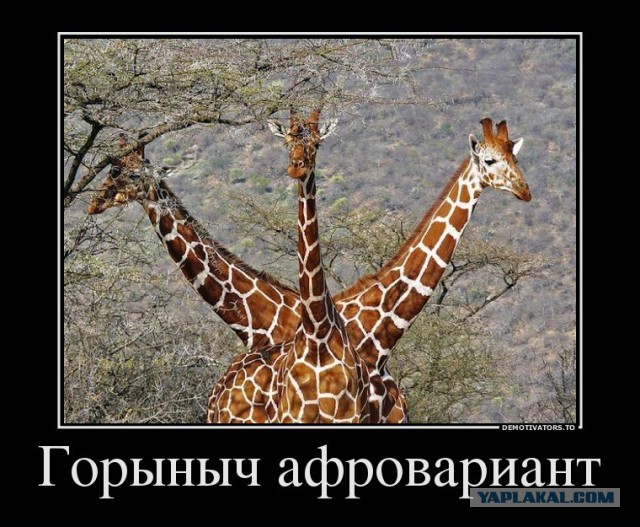 С миру по нитке. Демотиваторов чуть