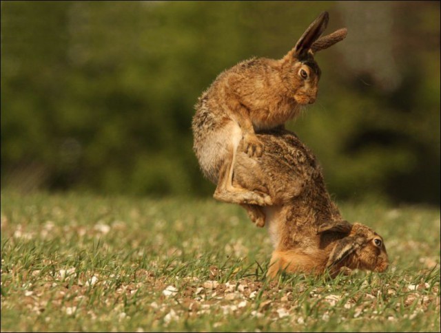 Немного юмора