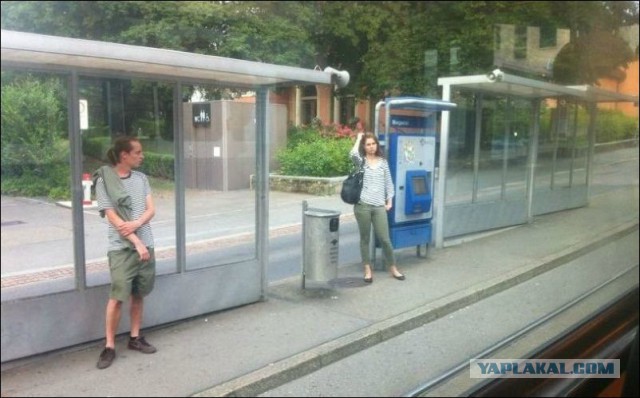 Подборка интересных и веселых фото