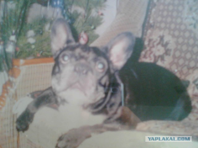 Я жду тебя за Радугой