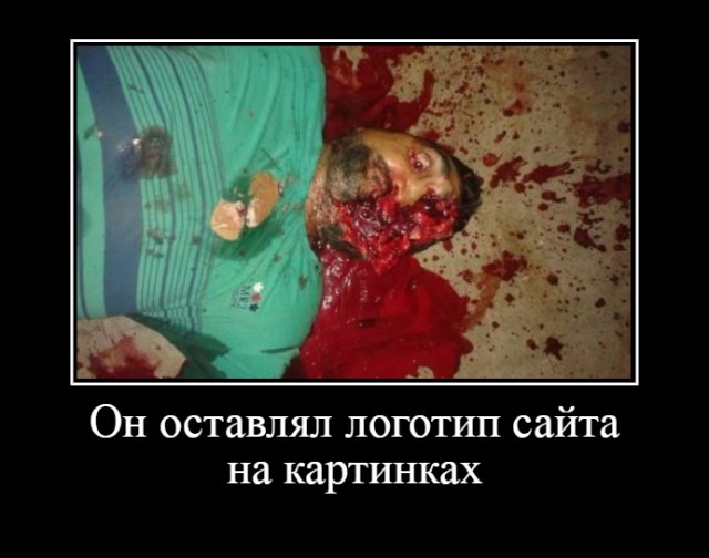 Все друг друга поняли (Смехопанорама)