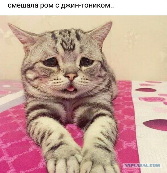 Фото-ассорти на пятницу