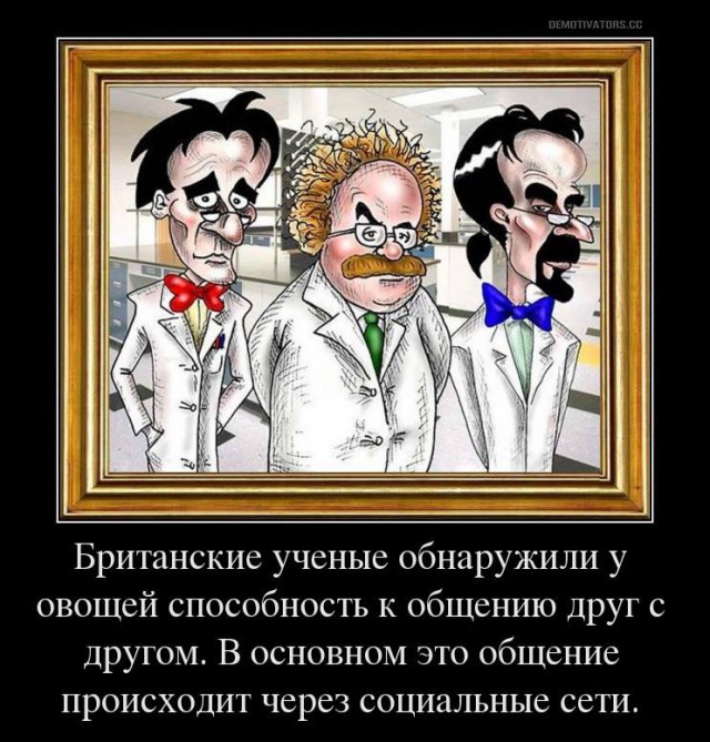 Больше медицинской деградации не будет