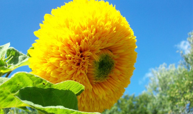 Просто Природа