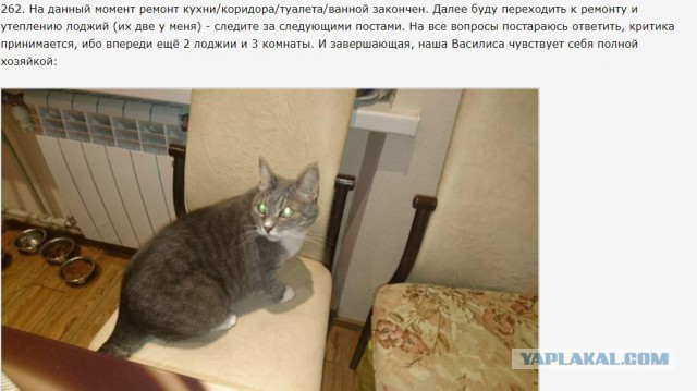 Капитальный ремонт квартиры. Начало.