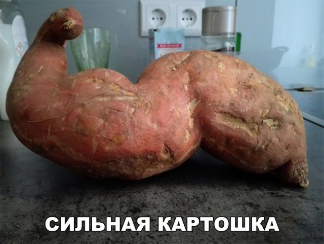 Нестандартный юмор