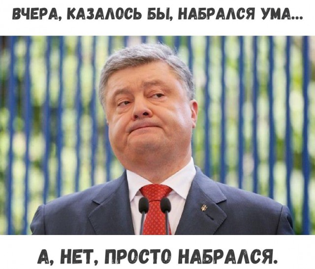 Самая высокооплачиваемая проститутка США: Секс — просто акт, я продаю близость