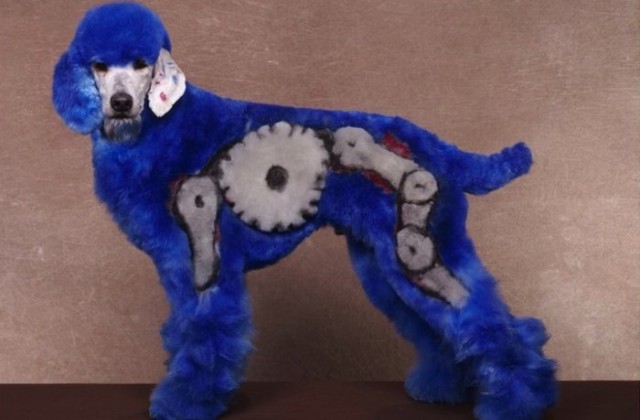 Подборка интересных и веселых картинок