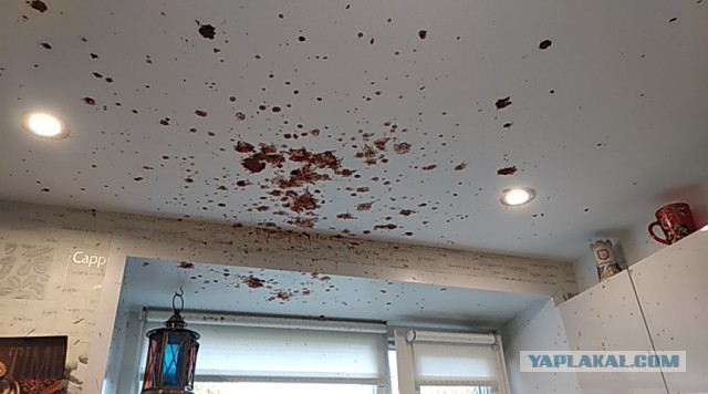 Самогонные аппараты могут попасть под лицензию