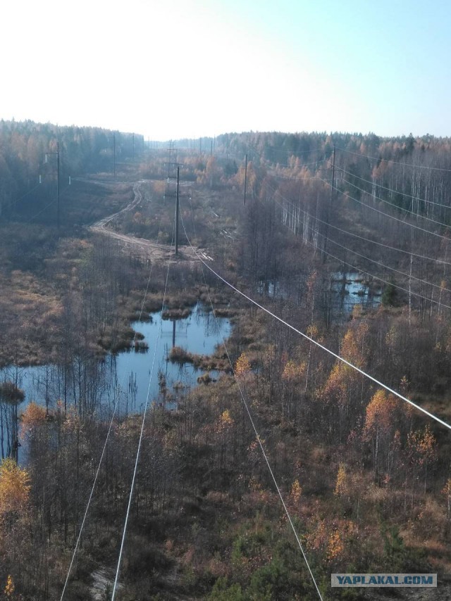Кому завтра в офис на работу