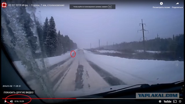 Фатальный обгон: водитель и пассажирка погибли на трассе в Удмуртии