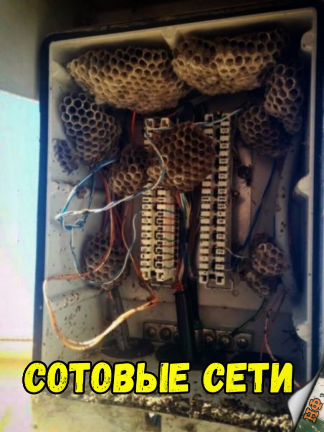 Нестандартный юмор