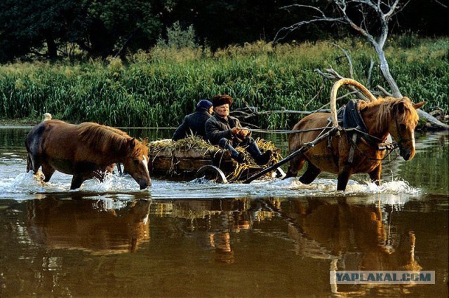 Негламурная жизнь