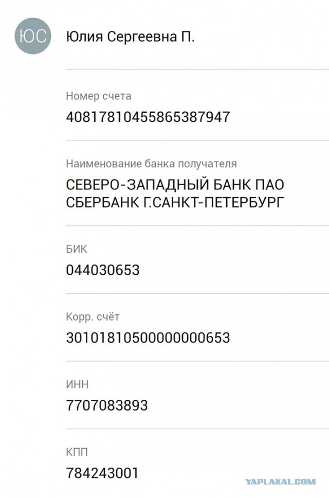 Помогите вернуть кота! Приют "Преданное сердце" украл кота и не отдает!-2