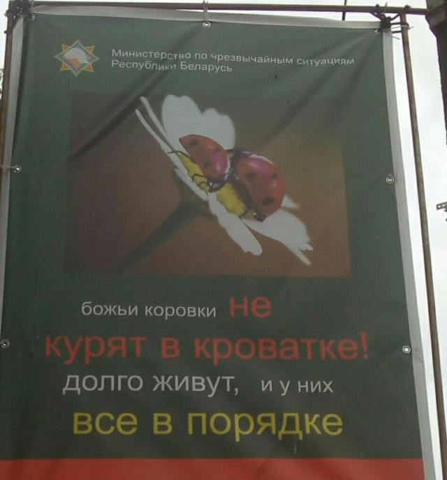 Бредзона 05.10.20