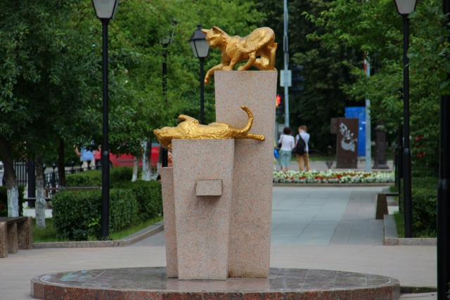 Сквер сибирских кошек