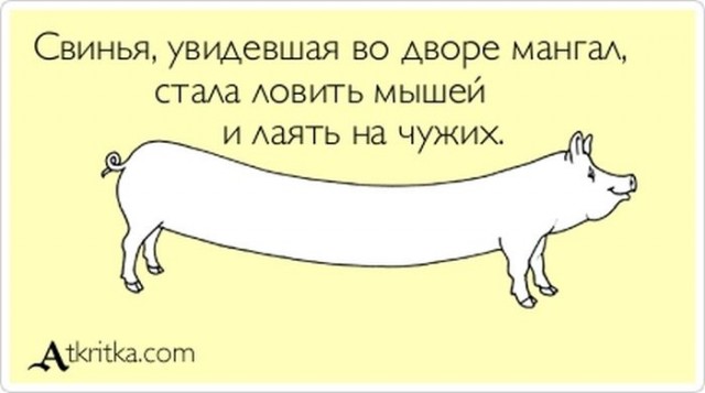 Рецепт для Апельсинии