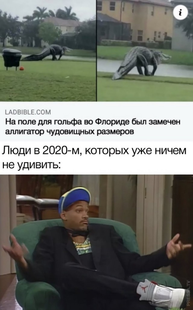 Немного картинок для настроения 16.11.20