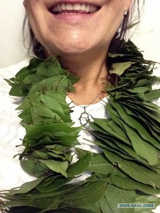 Борщ светлый