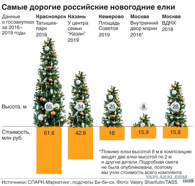 Главную площадь города власти украсили ворованной елью